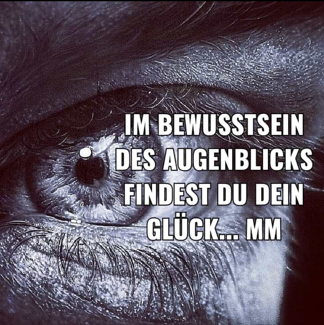 Im Augenblick